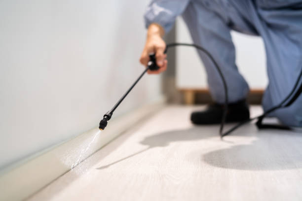 Bed Bug Pre-Treatment Preparation Assessment in Carrboro