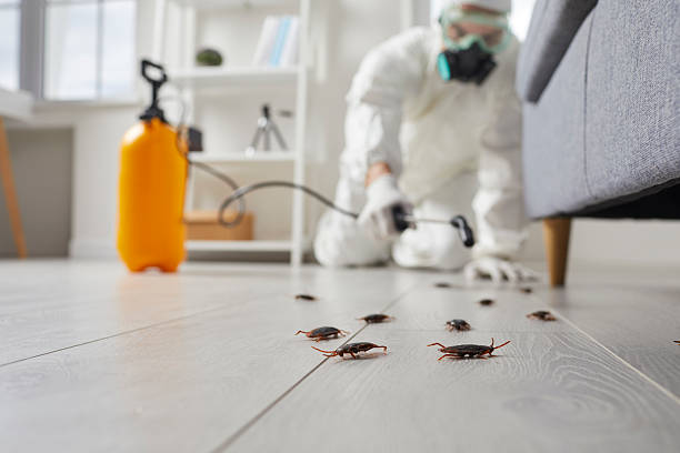 Post-Treatment Bed Bug Interceptor Monitoring in Carrboro