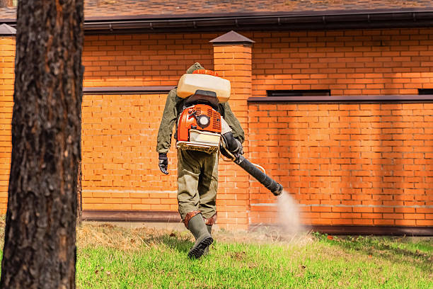 Bed Bug Clearance Verification and Documentation in Carrboro